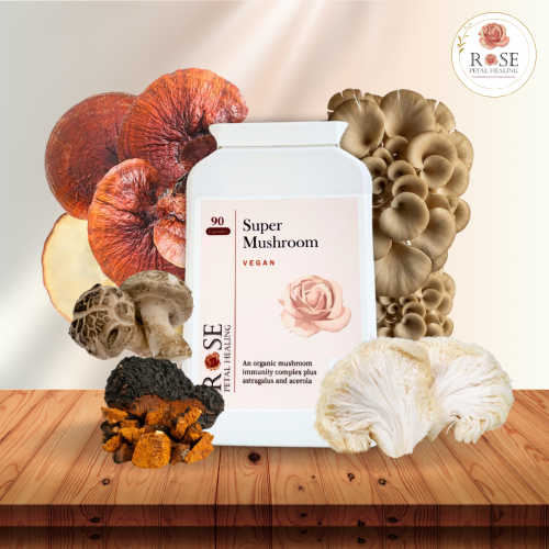 Super Mushroom : Organic Mushroom's Blend