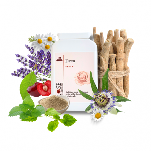 Dawn Supplement