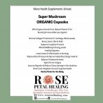 Super Mushroom : Organic Mushroom's Blend