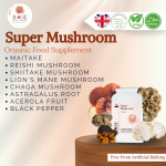 Super Mushroom : Organic Mushroom's Blend
