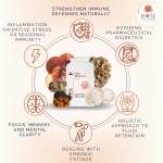 Super Mushroom : Organic Mushroom's Blend