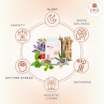 Dawn Supplement